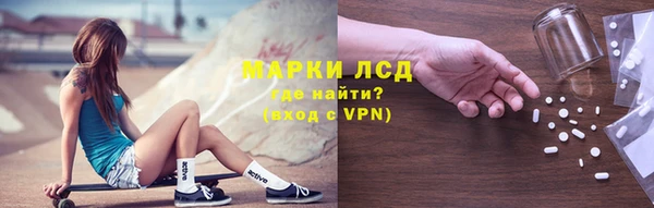 стаф Балахна