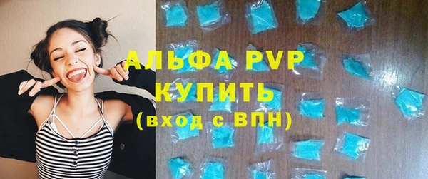 стаф Балахна
