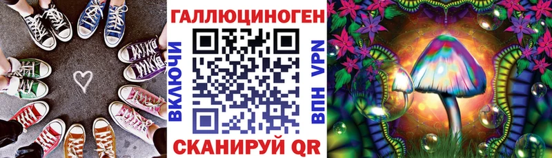 Галлюциногенные грибы Psilocybine cubensis  купить наркотик  Калининец 